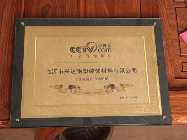 央视网合作伙伴