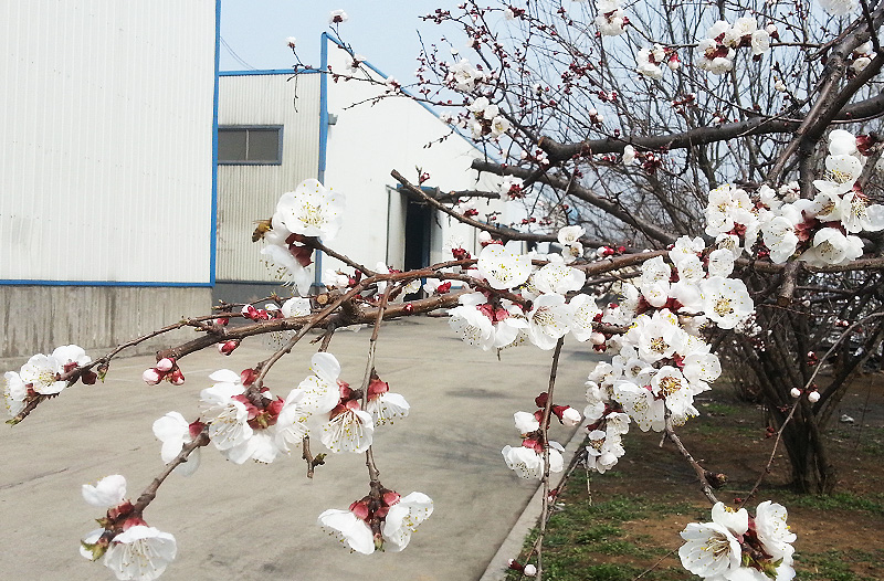 吉祥新世纪铝塑板厂家环境